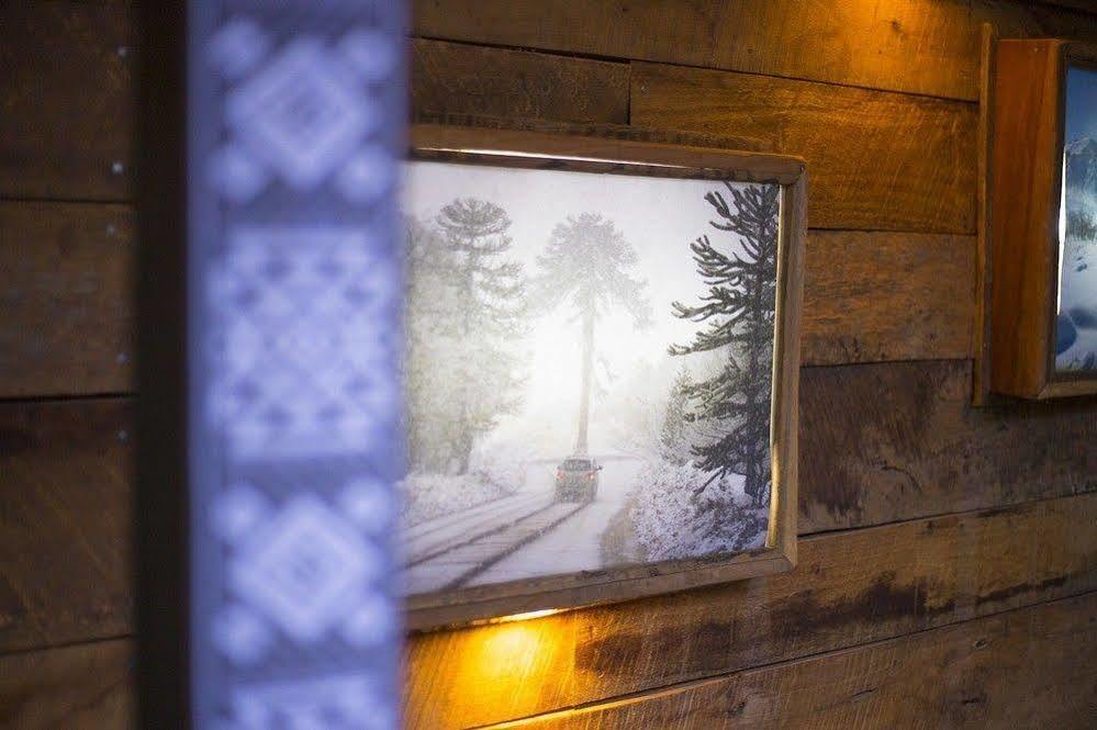 Newen B&B Pucón Exteriör bild